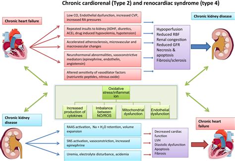 xivdoi|CardioRenal Disease Cardiology Clinics .